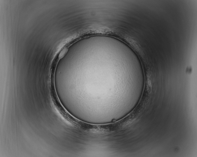 X0000115630630200911241648