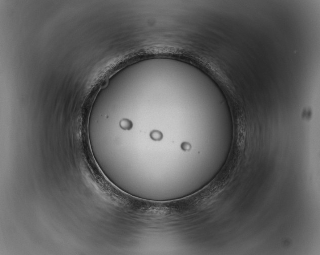 X0000115630631200911241648