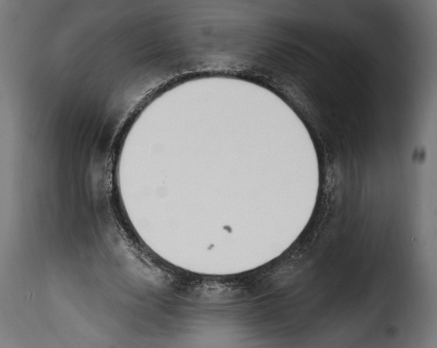 X0000115630632200911241648