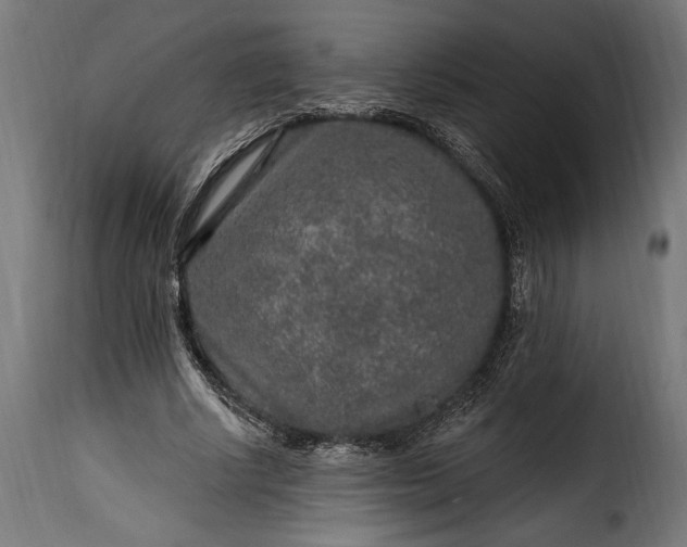 X0000115630634200911241648