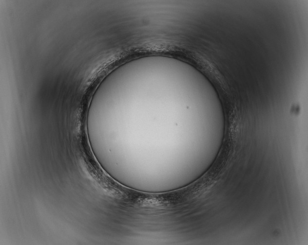 X0000115630635200911241648