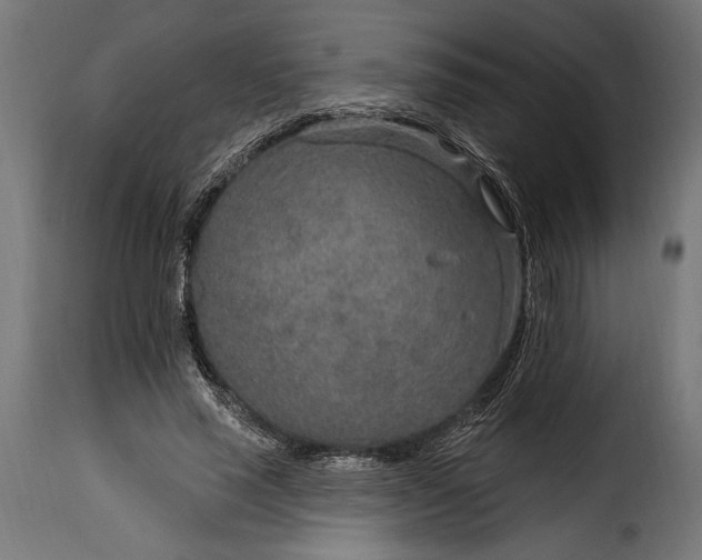 X0000115630637200911241648