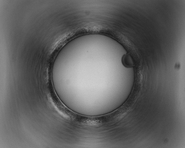 X0000115630638200911241648