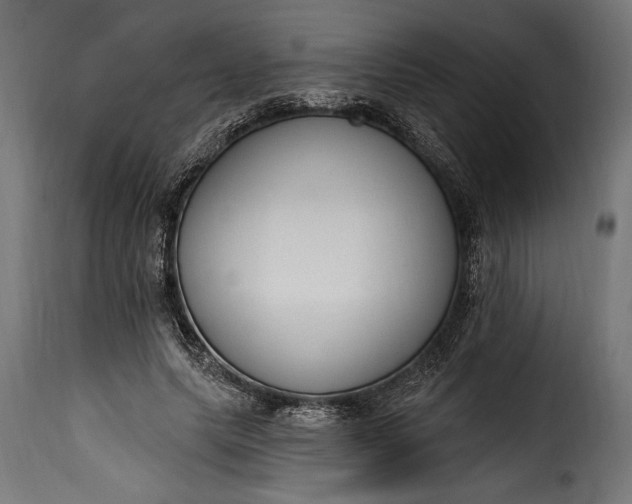 X0000115630639200911241648