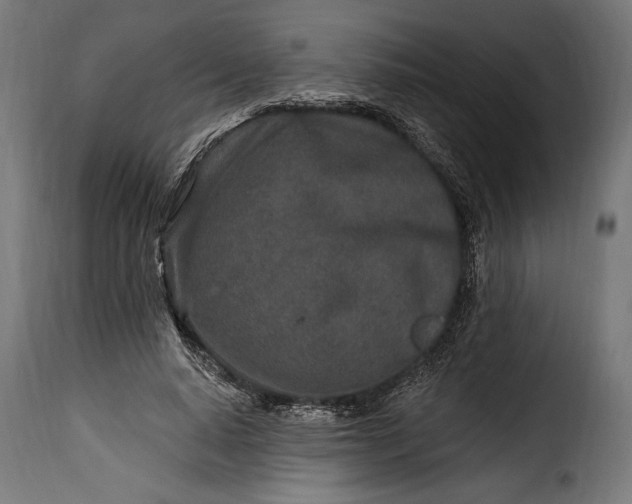 X0000115630640200911241648