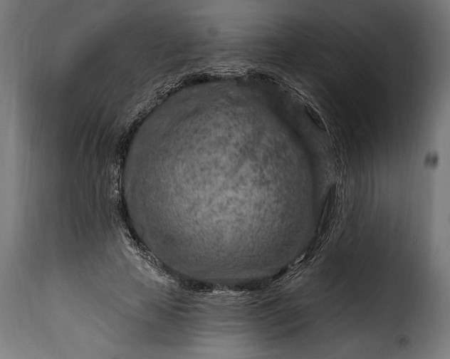 X0000115630641200911241648