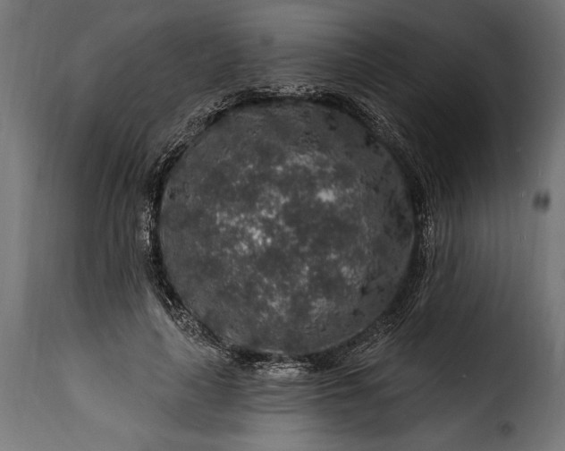 X0000115630643200911241648