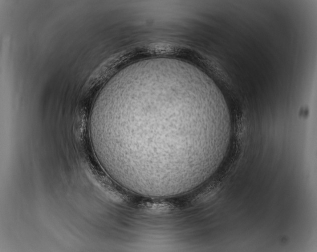 X0000115630645200911241648