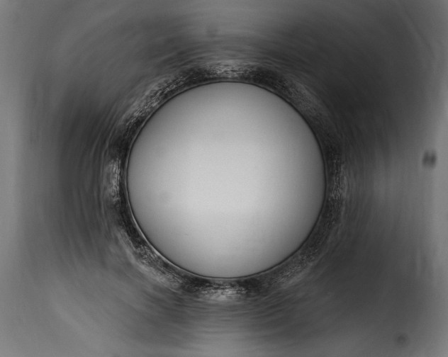 X0000115630646200911241648