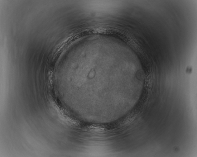 X0000115630648200911241648