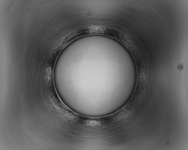 X0000115630649200911241648