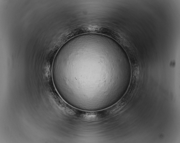 X0000115630651200911241648