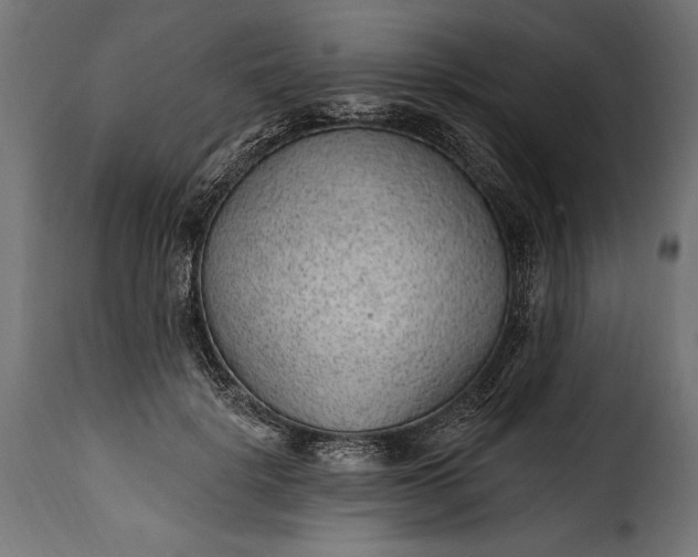 X0000115630652200911241648