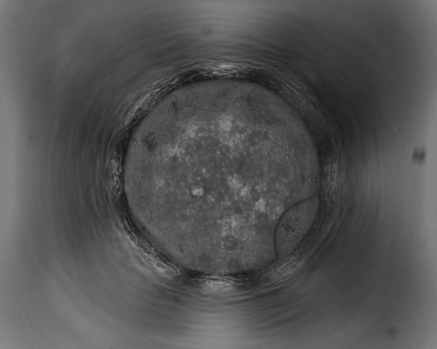 X0000115630653200911241648