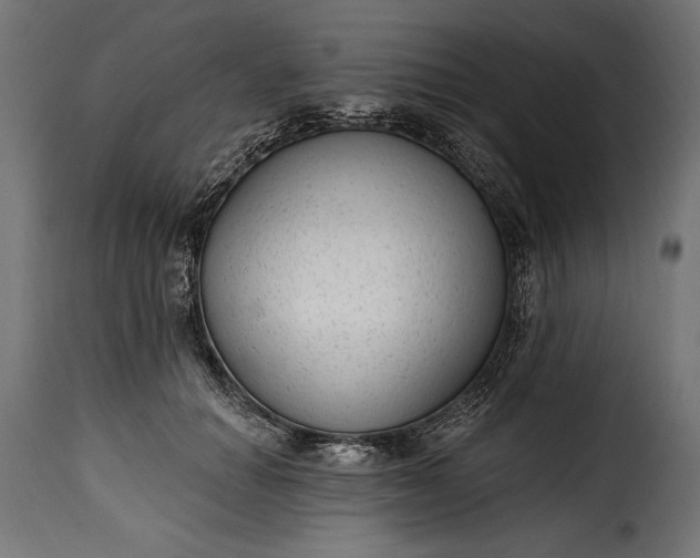 X0000115630654200911241648