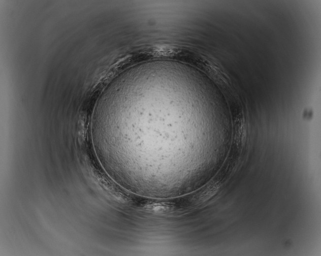 X0000115630655200911241648