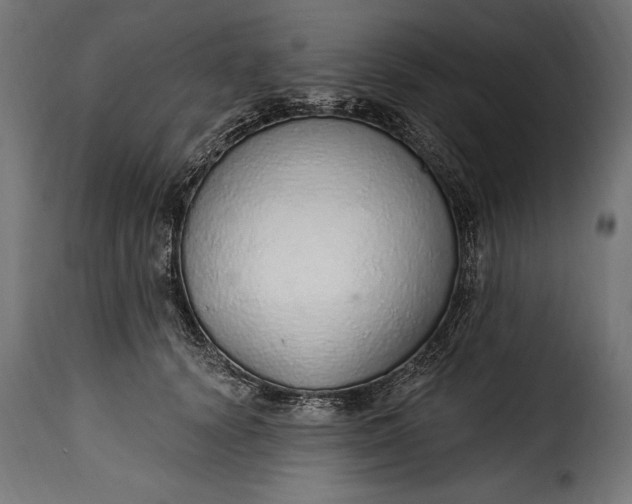 X0000115630656200911241648