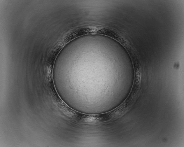 X0000115630657200911241648