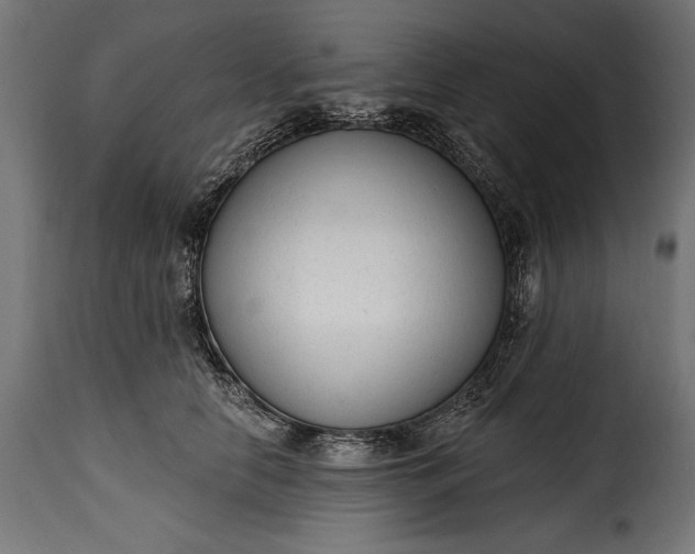 X0000115630658200911241648