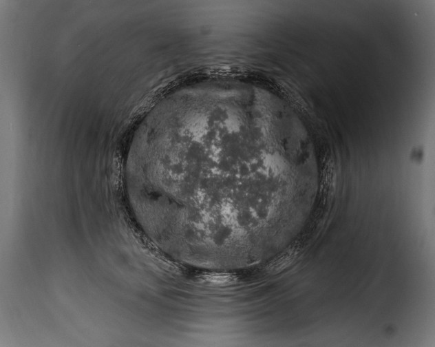 X0000115630659200911241648