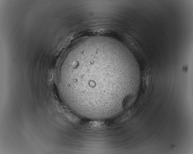 X0000115630660200911241648