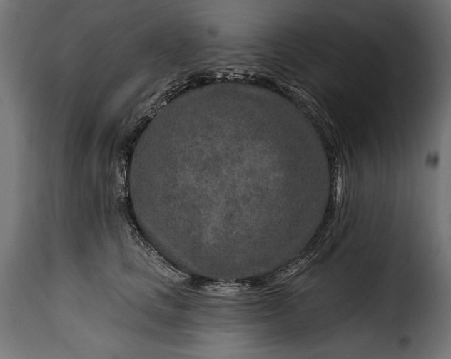 X0000115630661200911241648