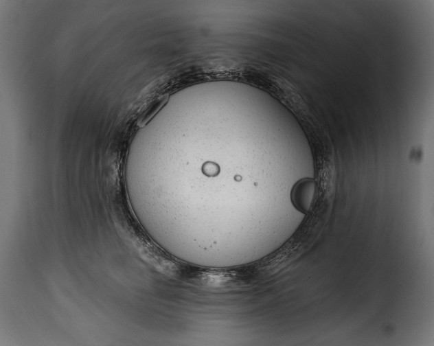 X0000115630662200911241648