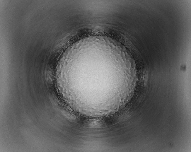 X0000115630663200911241648