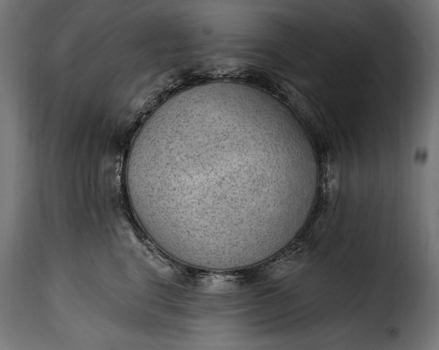 X0000115630664200911241648