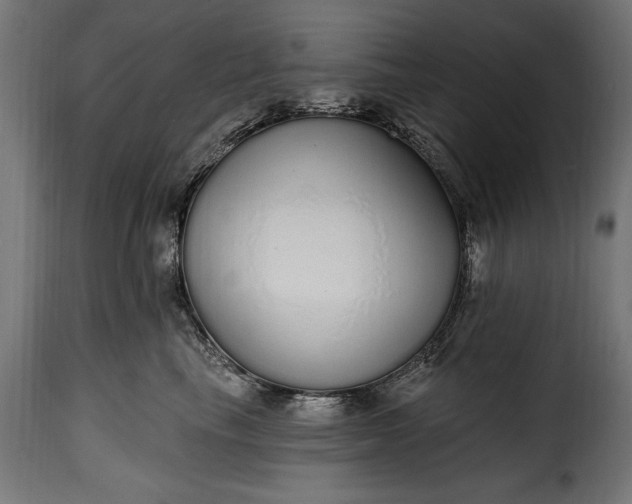 X0000115630665200911241648