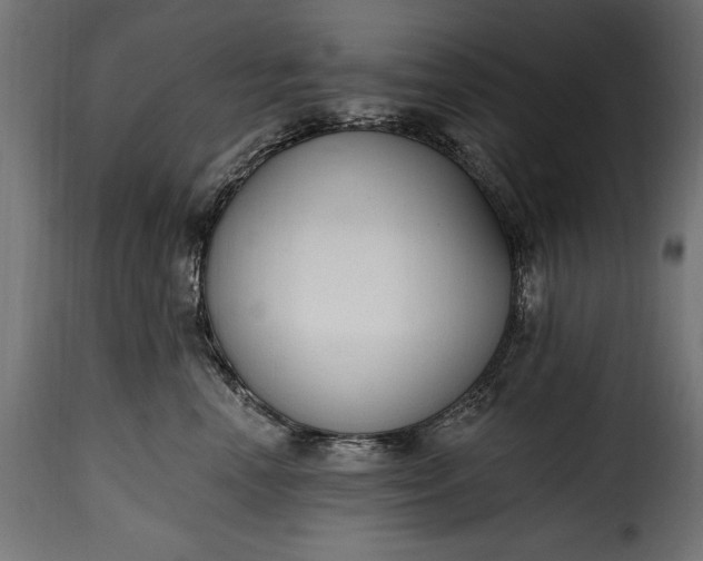 X0000115630666200911241648