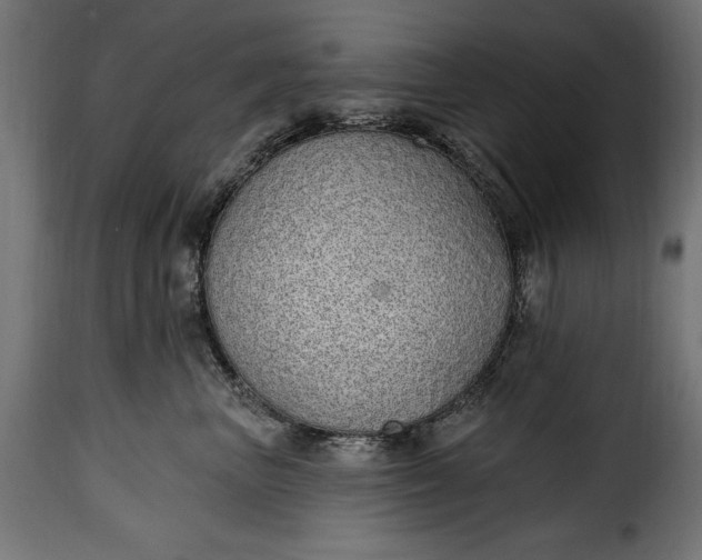 X0000115630667200911241648