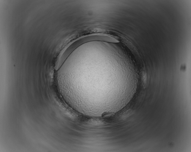 X0000115630668200911241648