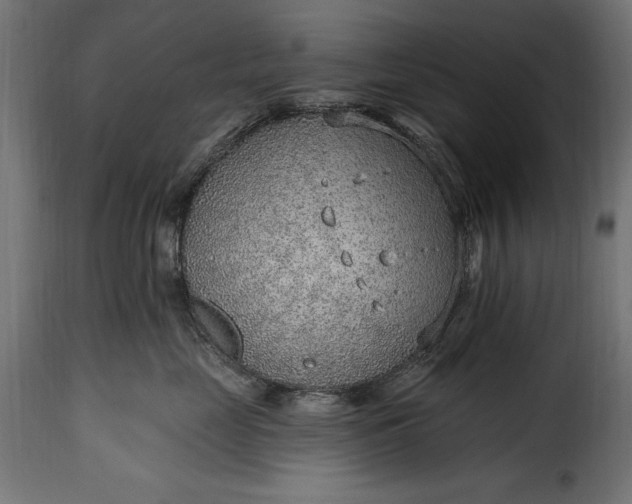 X0000115630669200911241648