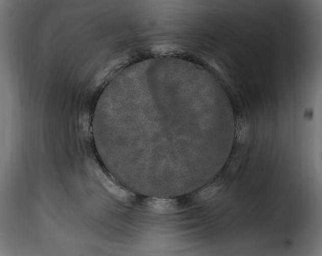 X0000115630670200911241648