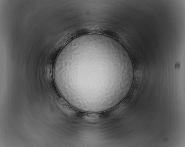 X0000115630671200911241648