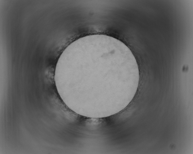 X0000115630672200911241648