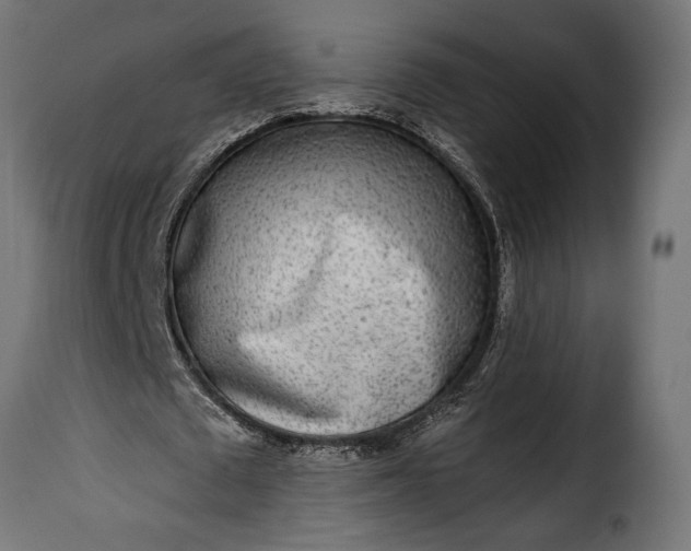 X0000115630673200911241648