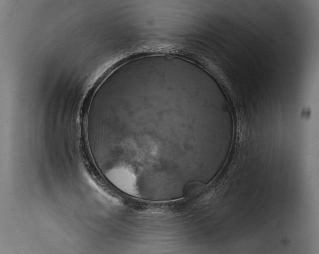 X0000115630674200911241648