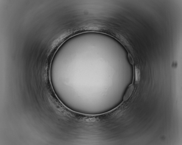 X0000115630675200911241648