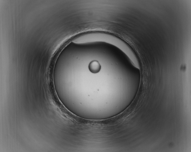 X0000115630676200911241648