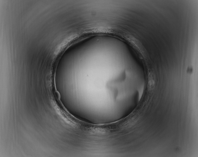 X0000115630677200911241647