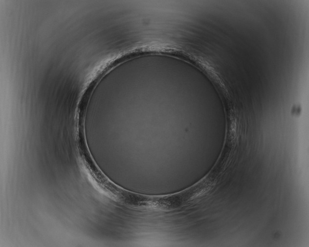 X0000115630678200911241647