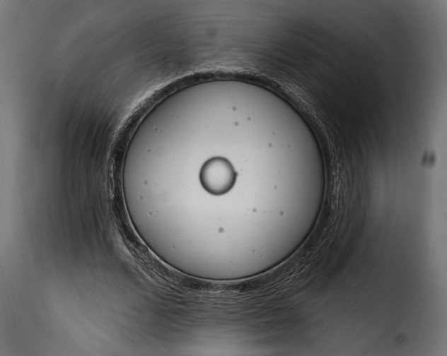 X0000115630680200911241647