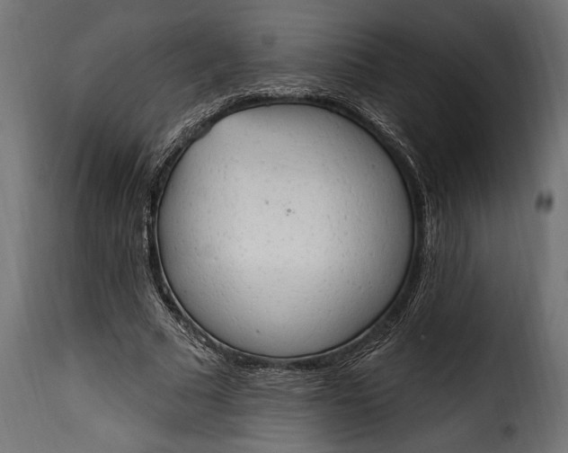 X0000115630681200911241647