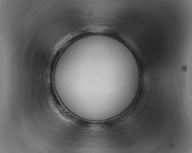 X0000115630682200911241647