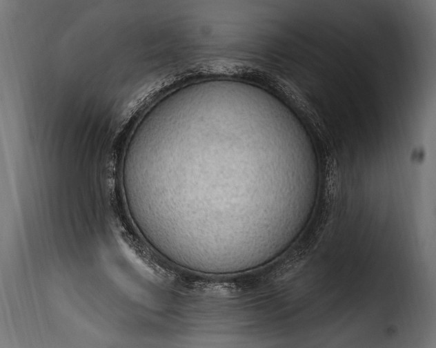 X0000115630683200911241647