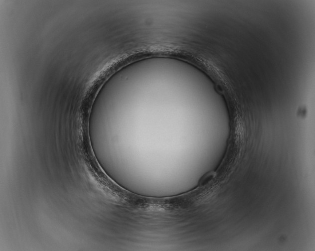 X0000115630684200911241647