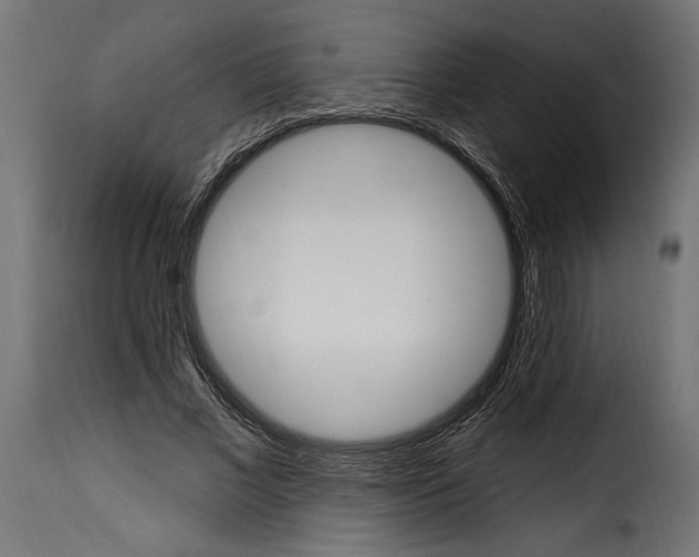 X0000115630685200911241647