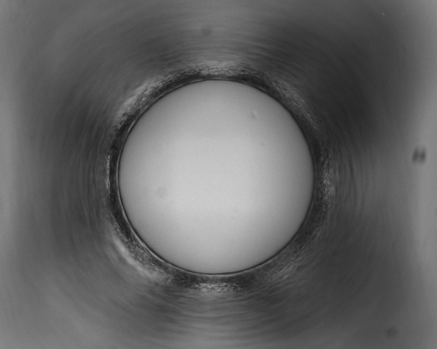 X0000115630686200911241647